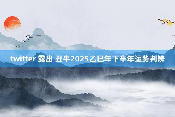 twitter 露出 丑牛2025乙巳年下半年运势判辨
